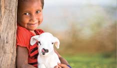 i need more goats thanks.