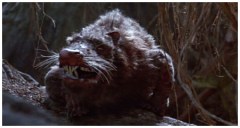 rodents of unusual sizes