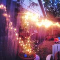 my tinkly backyard