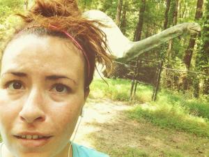 Got photo bombed by a dinosaur on my run. So. That happened.