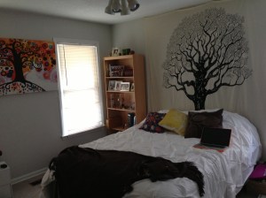 What can I say. I like trees.