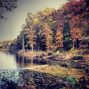 literally outside my window. blessed.