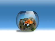 being on the internet is like… "Oh, look! A castle…Oh, look! A castle!"