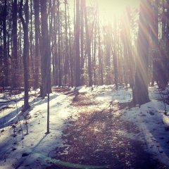 "is that a bear print?" "is that a bear print?" me, to everything.