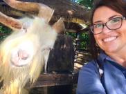 see? even to this goat I am the sidekick.