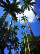 yeah we do good sky here.