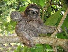 look at this Amazonian goober! are these things even real? L to the o L. I want seven.