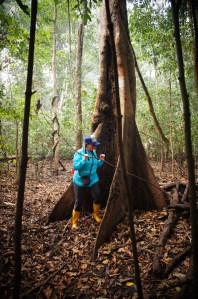 roaming around ze jungle