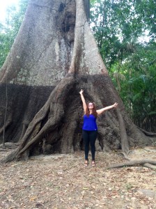 trees on trees on trees