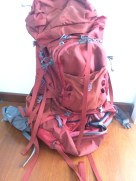 old faithful. she's pretty new. we're working on the old. very faithful so far.