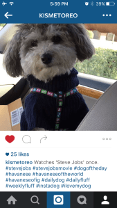 follow @kismetoreo for the adventure of a lifetime.