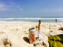 how could i tell you about cerveja e quiejo na praia?