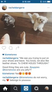 if we set up a frenchie/goat instagram, I can stop being weird and trolling my mom's dog.