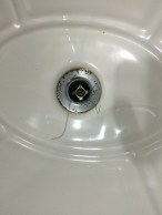 LOOK AT HOW ROACHIE IT LOOKS