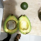 look at this beautiful avocado Jesus gave me! #blessed