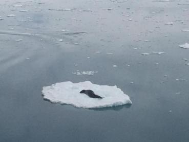 15822889_10105192336398067_5895207080390802574_n